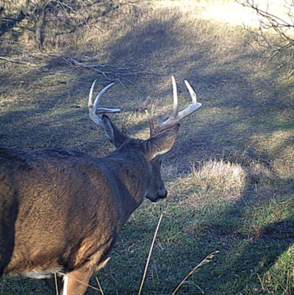 Meet your Posher, Joseph - Picture 1 of 1